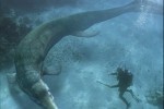 BBC: Прогулки с морскими чудовищами