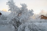 Зима пришла. За что в России зиму любим?