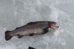 Рыбалка | дочкин улов